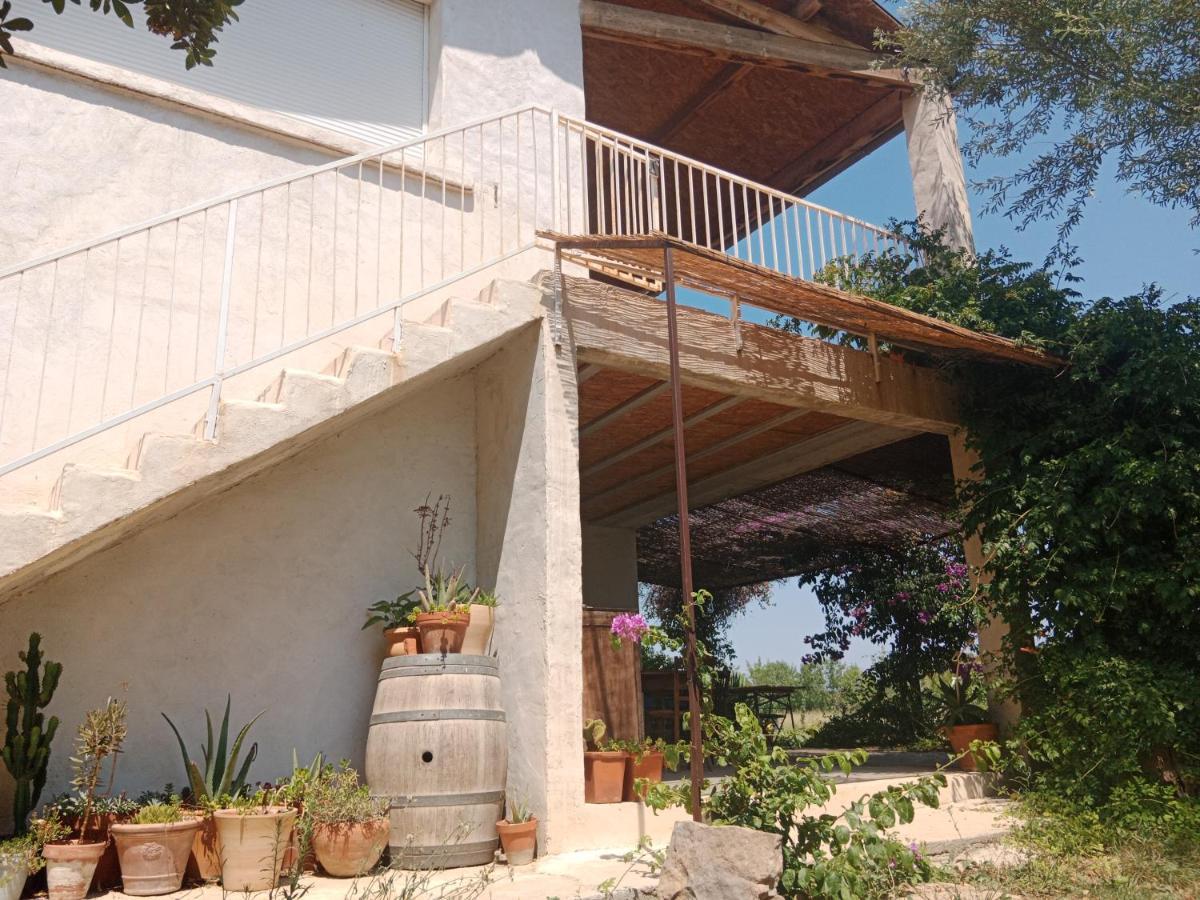 Domaine Limouzy Villa Narbonne Bagian luar foto